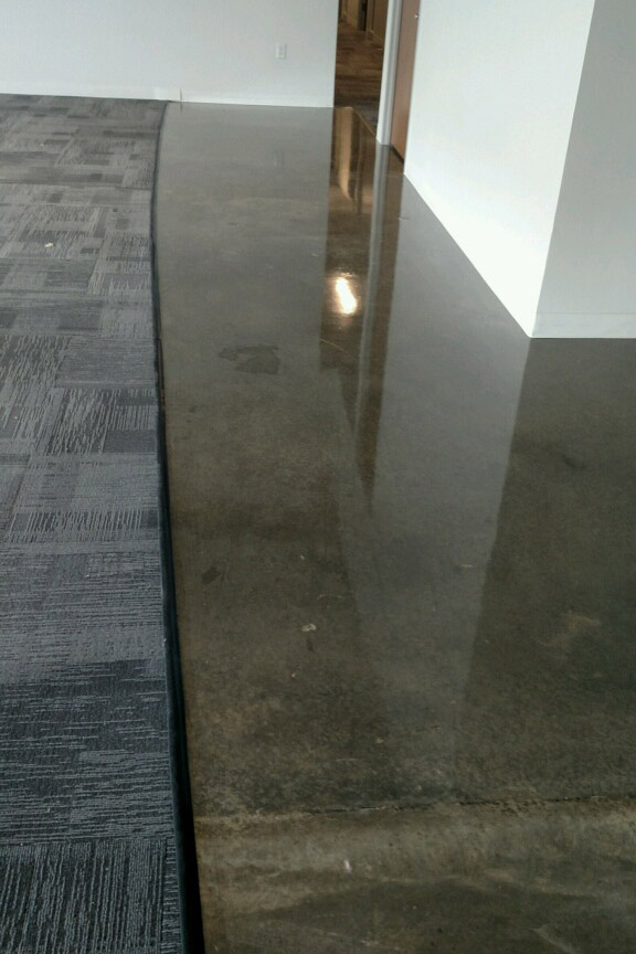 Office Polished Concrete Coatings